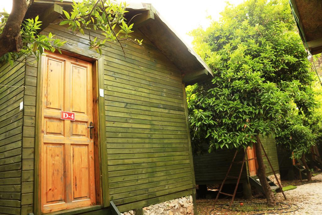Olympos Zeytin Bed and Breakfast Eksteriør billede